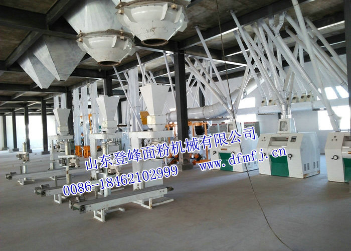 120-150T 24h玉米粉生產線